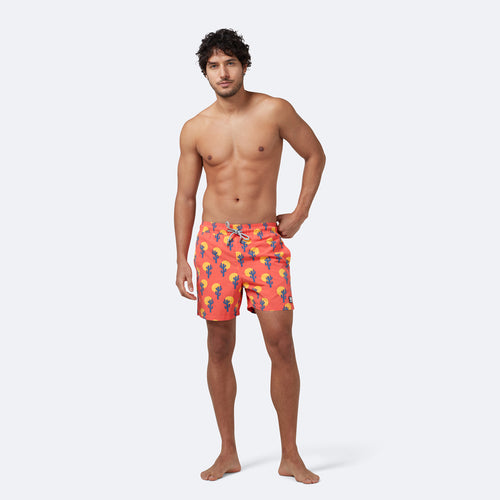 Deep Rose Cactus Set