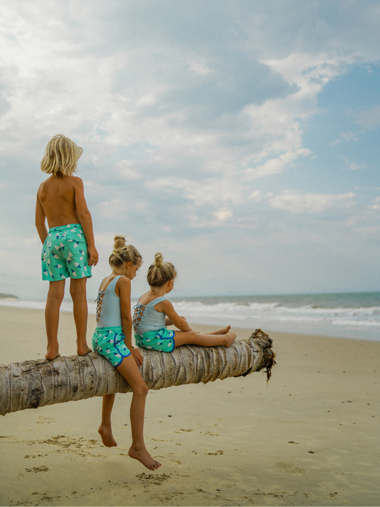 Matching father and hot sale son bathing suits